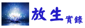 放生實錄